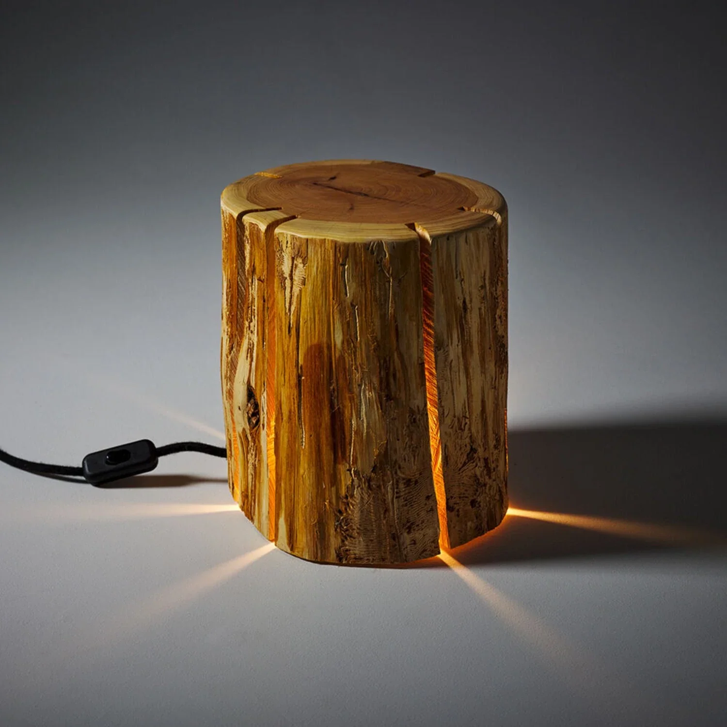 duncan meerding | cracked log lamp - Image 24