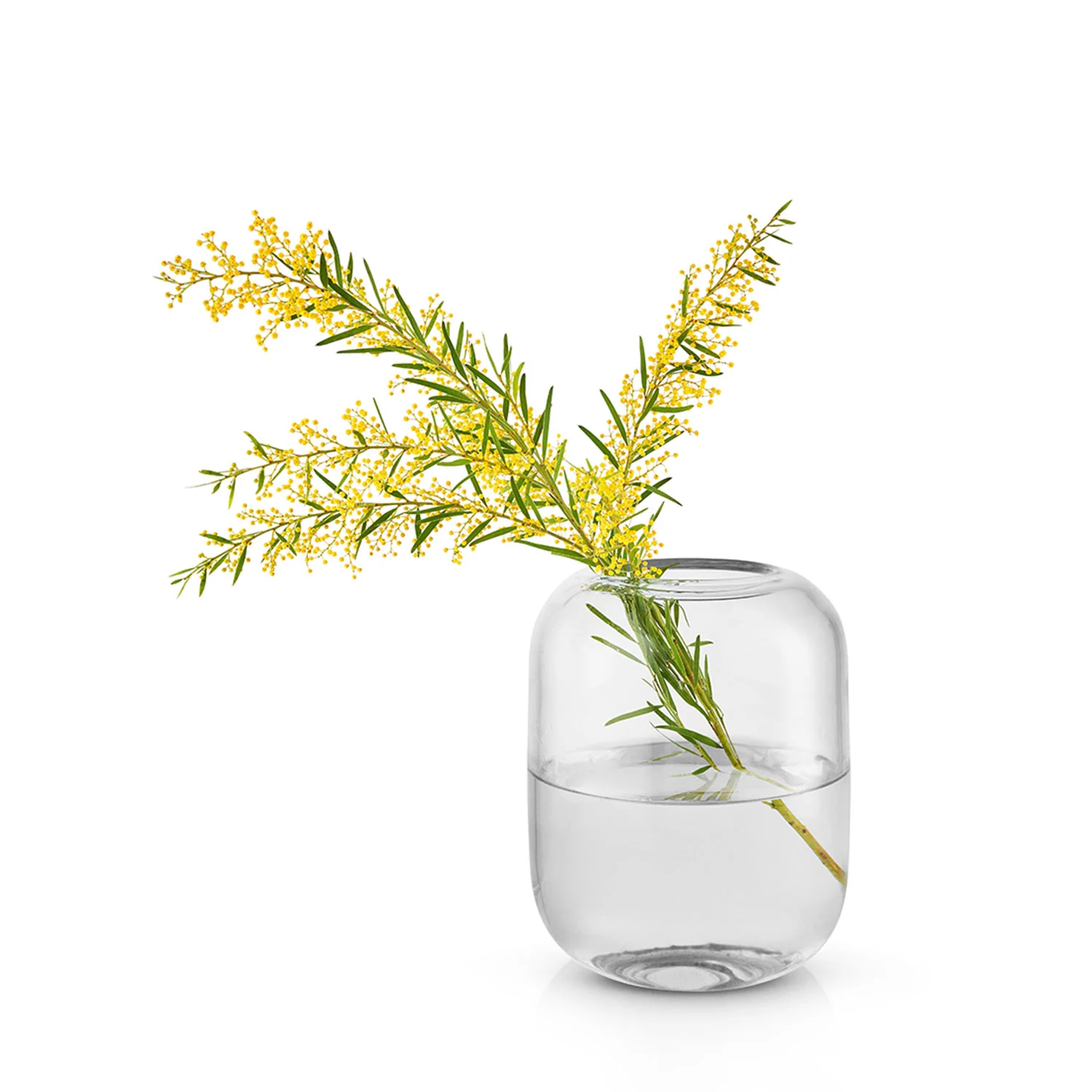 eva solo | acorn vase 16.5cm | clear - DC - Image 3