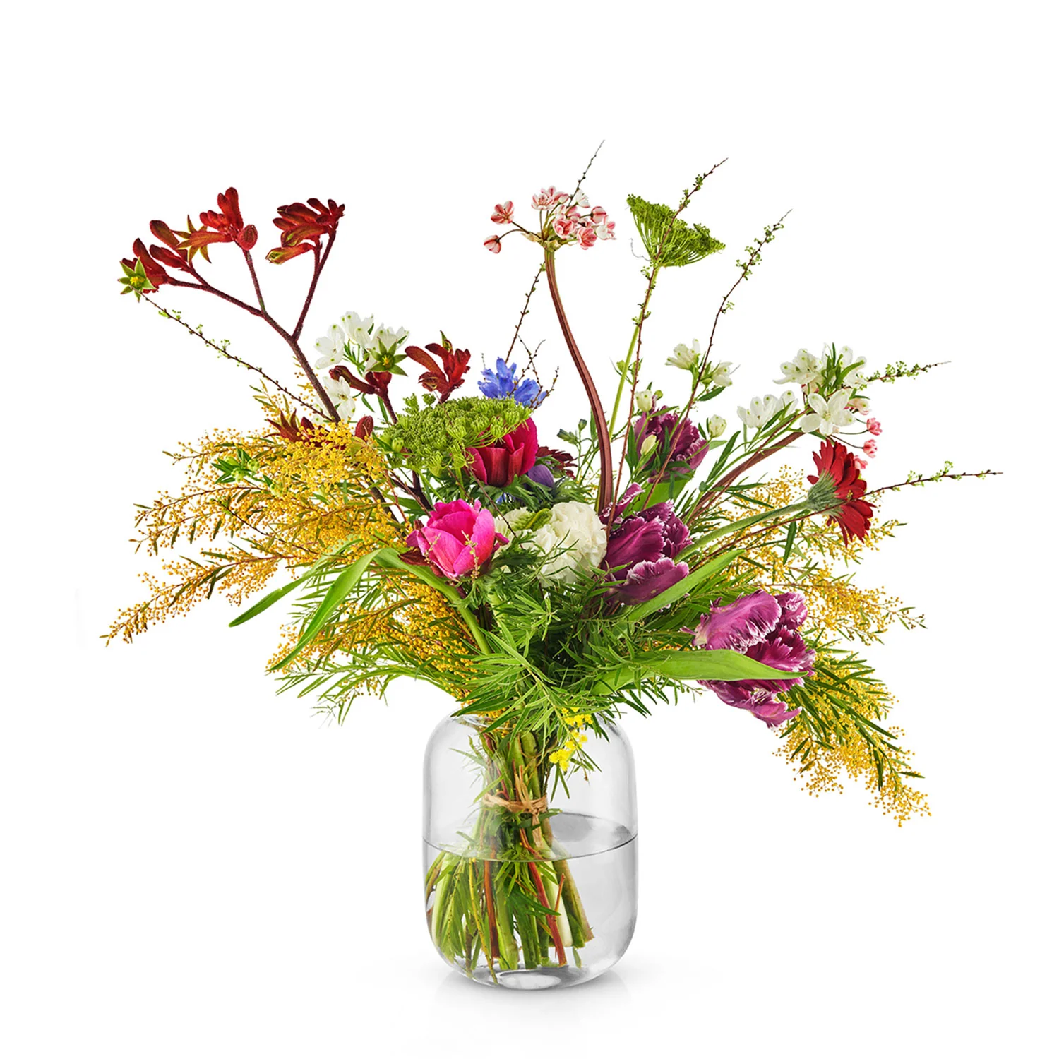 eva solo | acorn vase 16.5cm | clear - DC - Image 4