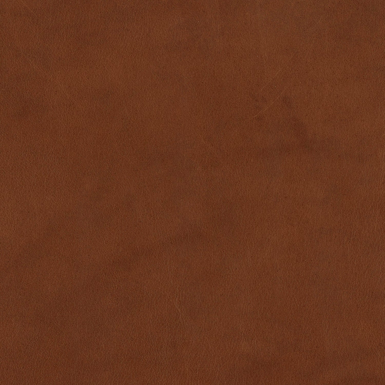 freifrau | leyasol wingback swing seat | adora kandis leather + bronze frame - Image 9