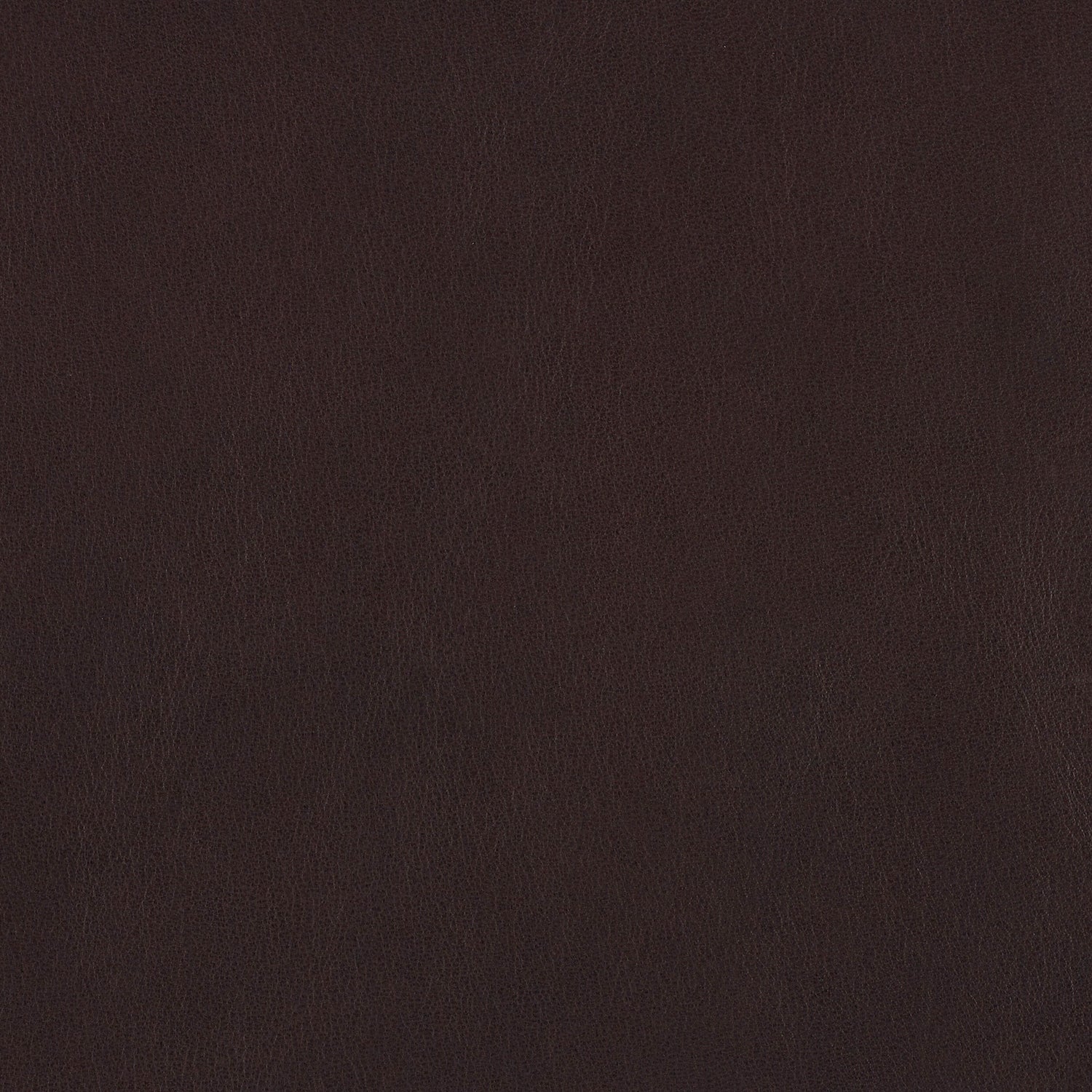 freifrau | marie armchair | adora canelo leather + steel bronze glaze frame - Image 8