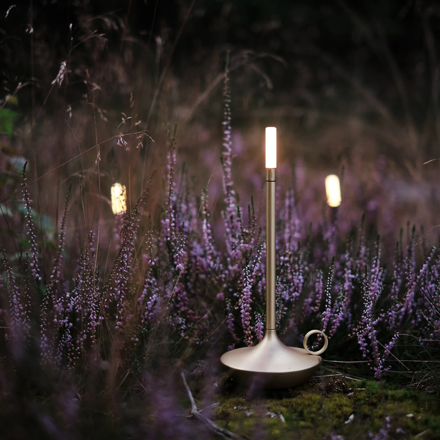 graypants | wick portable table lamp | brass 26cm - Image 21