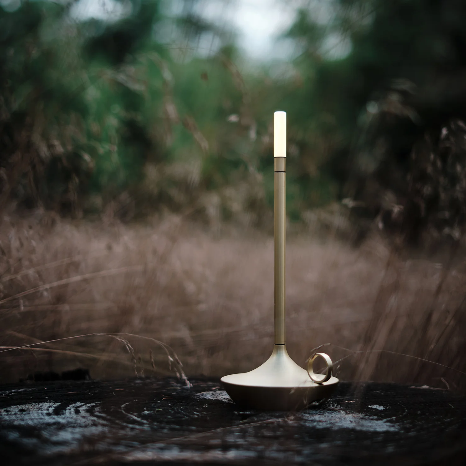 graypants | wick portable table lamp | brass 26cm - Image 25