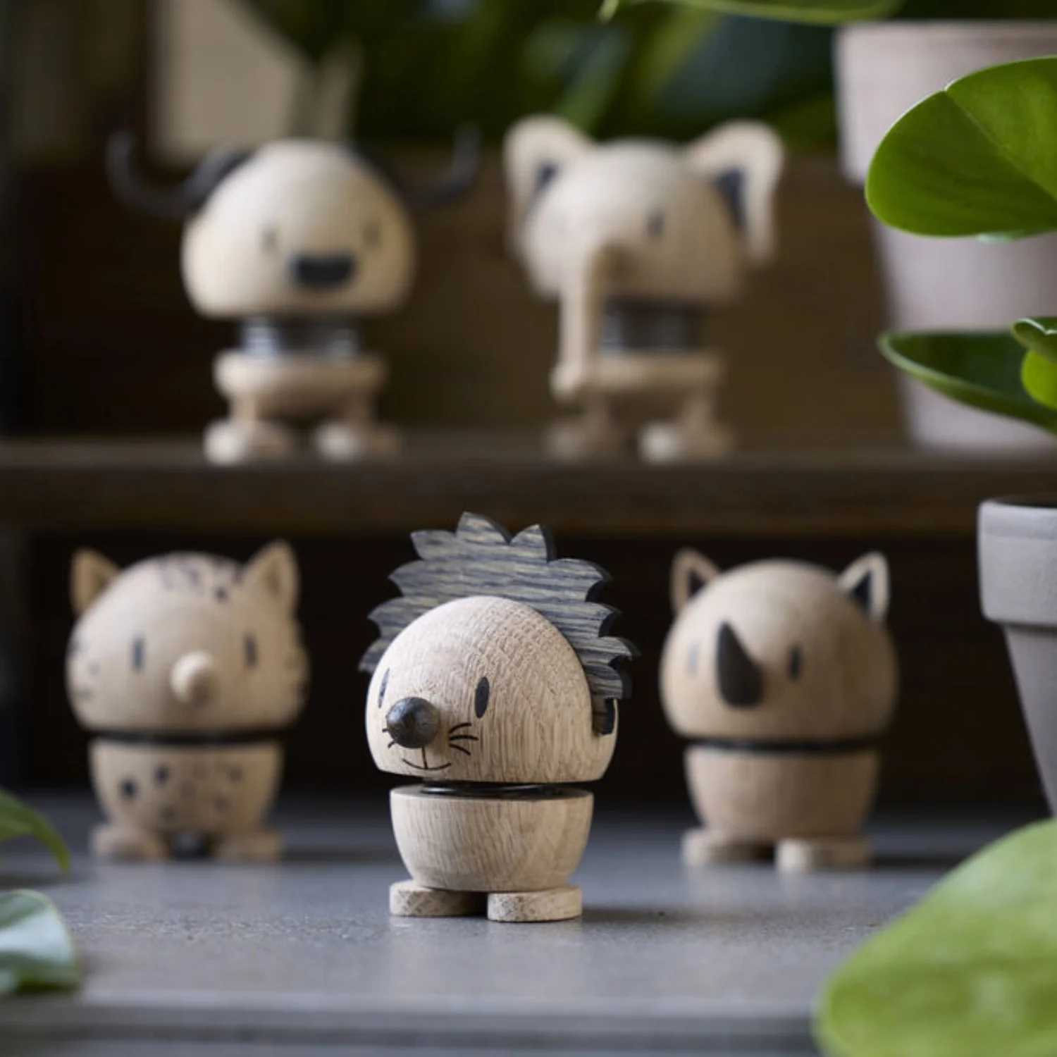hoptimist | lion | oak small - Image 3
