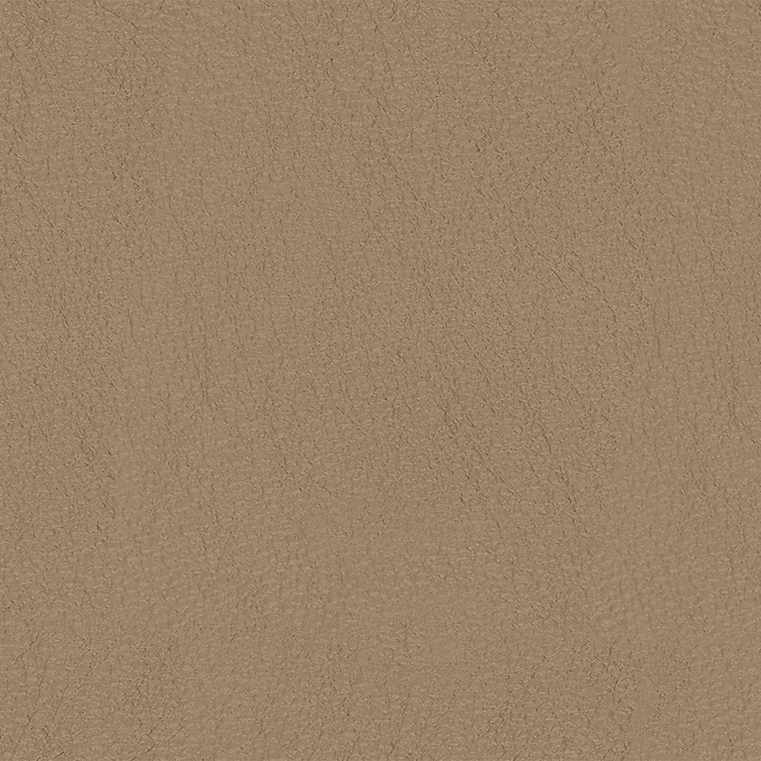 rolf benz | mera sofa | 3 seater leather | beige grey 38.732 + marrone metallic frame - Image 20
