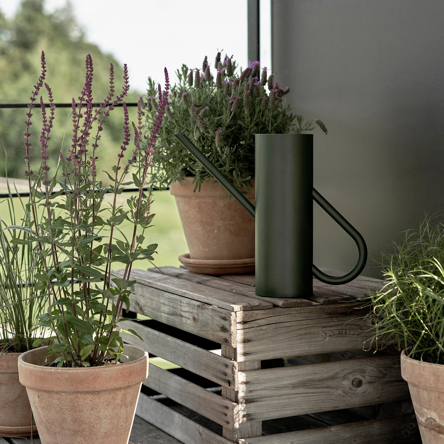 stelton | bloom watering can - Image 6