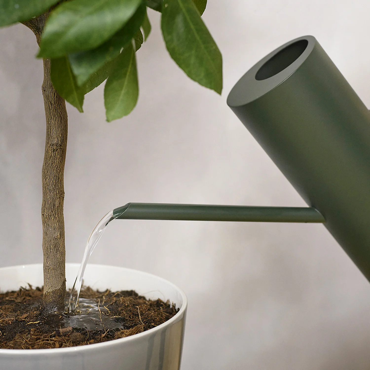 stelton | bloom watering can - Image 7