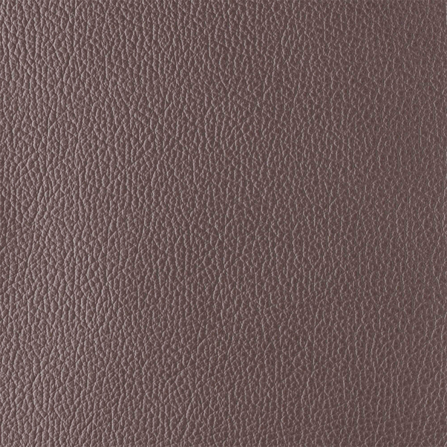 wilkhahn | FS 211/8 task chair | 5-star base + carpet castors | casa leather - Image 3